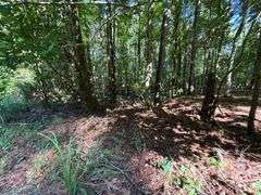 Vacant Residential Lot (Lake Oconee): White Plains, GA
