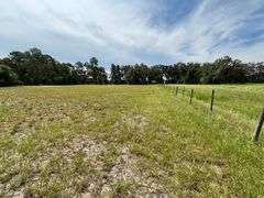 20 Acres of Agricultural land w/ Mobile Home: Levy County, FL