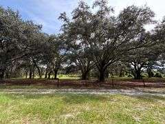 20 Acres of Agricultural land w/ Mobile Home: Levy County, FL