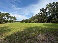 20 Acres of Agricultural land w/ Mobile Home: Levy County, FL