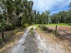 20 Acres of Agricultural land w/ Mobile Home: Levy County, FL