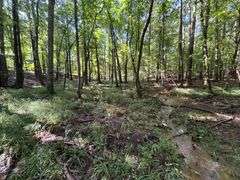 Vacant Residential Lot (Lake Oconee): White Plains, GA