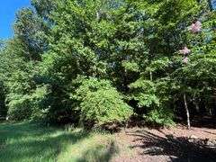 Vacant Residential Lot (Lake Oconee): White Plains, GA