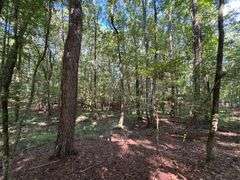 Vacant Residential Lot (Lake Oconee): White Plains, GA