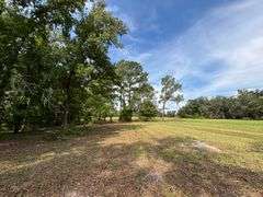 20 Acres of Agricultural land w/ Mobile Home: Levy County, FL
