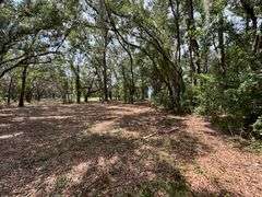 20 Acres of Agricultural land w/ Mobile Home: Levy County, FL