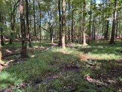Vacant Residential Lot (Lake Oconee): White Plains, GA
