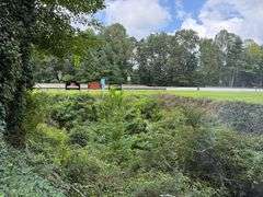 Commercial Land: Lakemont, GA
