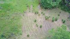 20 Acres of Agricultural land w/ Mobile Home: Levy County, FL