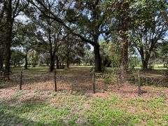 20 Acres of Agricultural land w/ Mobile Home: Levy County, FL