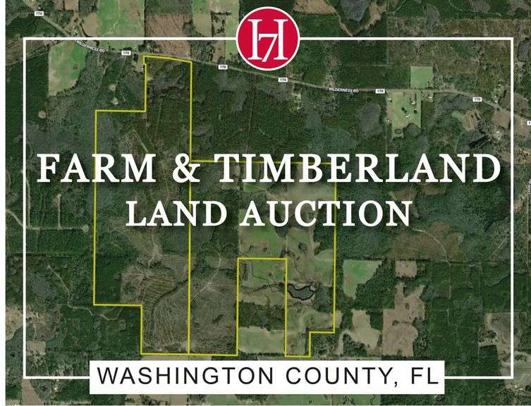 TractBID Auction | 796± Acres Premier Florida Panhandle Farm & Timberland - Washington Co, FL