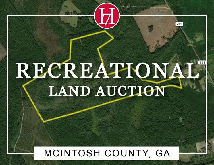 Auction | 201± Acres of Pristine Hunting & Recreational Investment Land - McIntosh County, GA