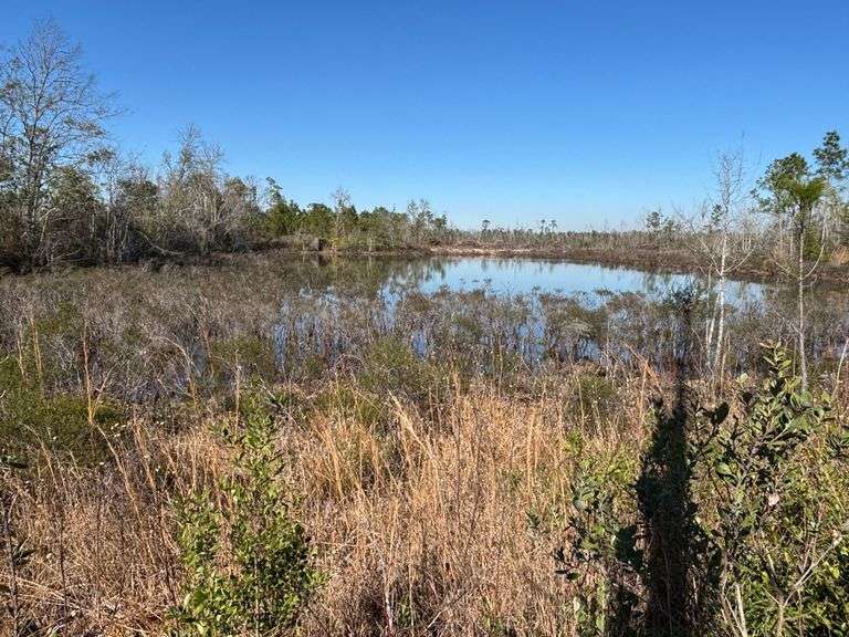 30± Acres Vacant Land: Lakeland, GA