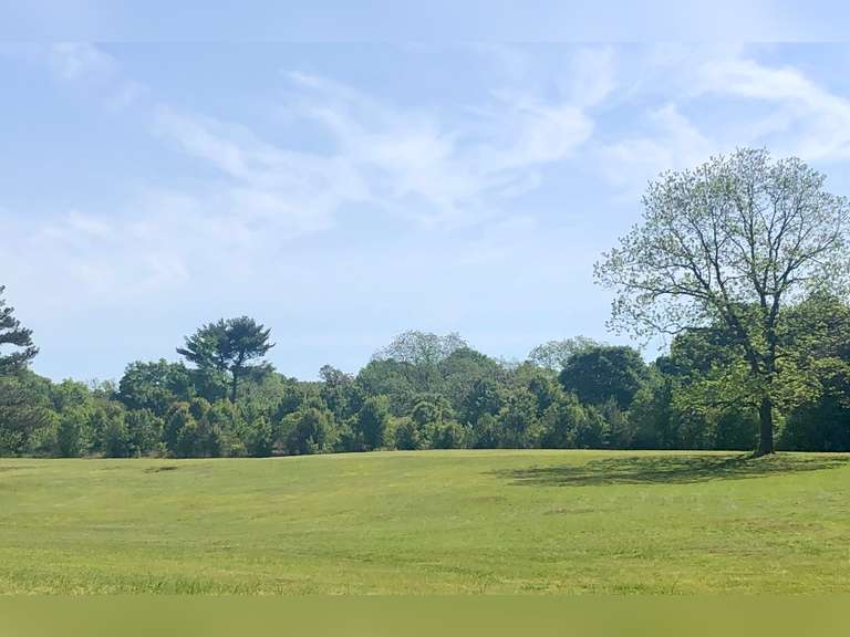 Tract 5: 7.18± Acres