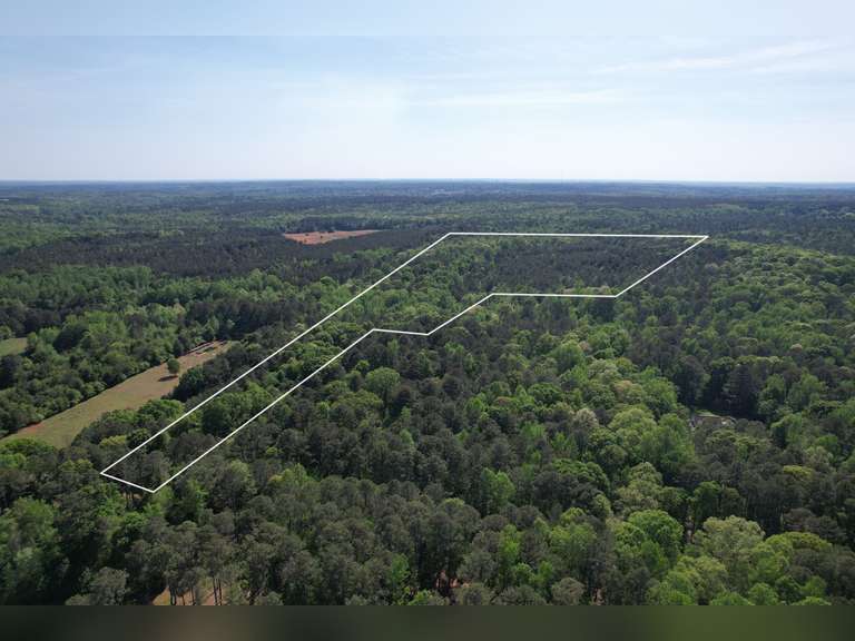 35± AC Unimproved Land in Newton & Walton Counties, GA | Estate of Kenneth Fortson — Division Among