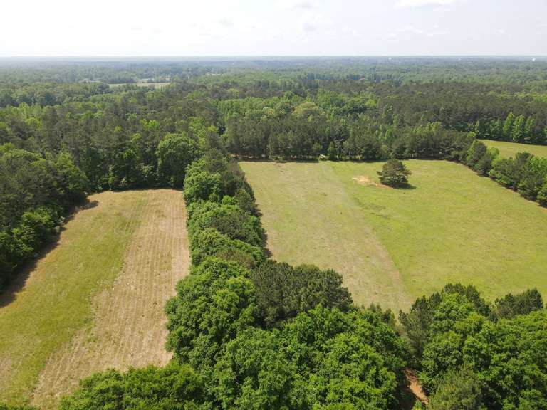Tract 7: 7.57± Acres