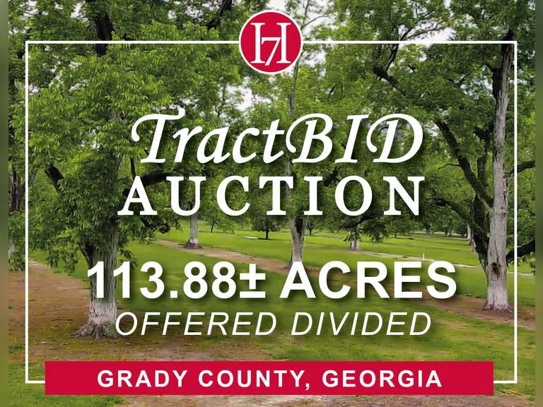TractBID Auction | 113.88± Acres, Pecan Orchard, Prime Hunting & Recreational Land - Grady County, GA