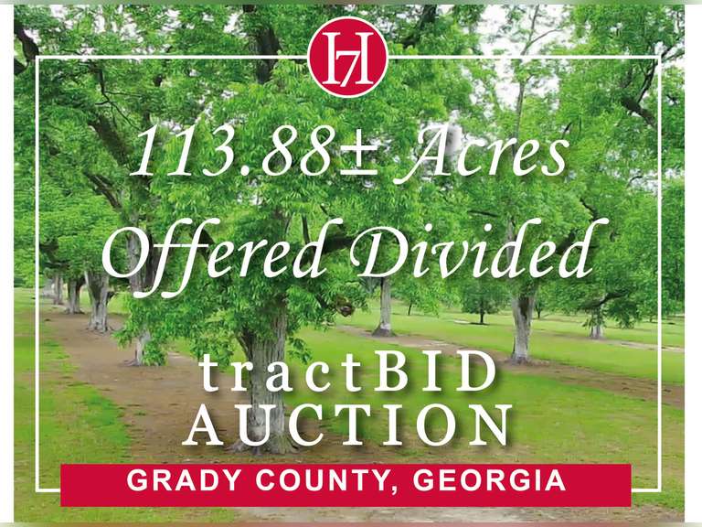 Auction | 113.88± Acres, Pecan Orchard, Prime Hunting & Recreational Land - Grady County, GA