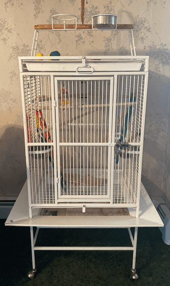 Metal Bird Cage (69”H,29”L,35”D)