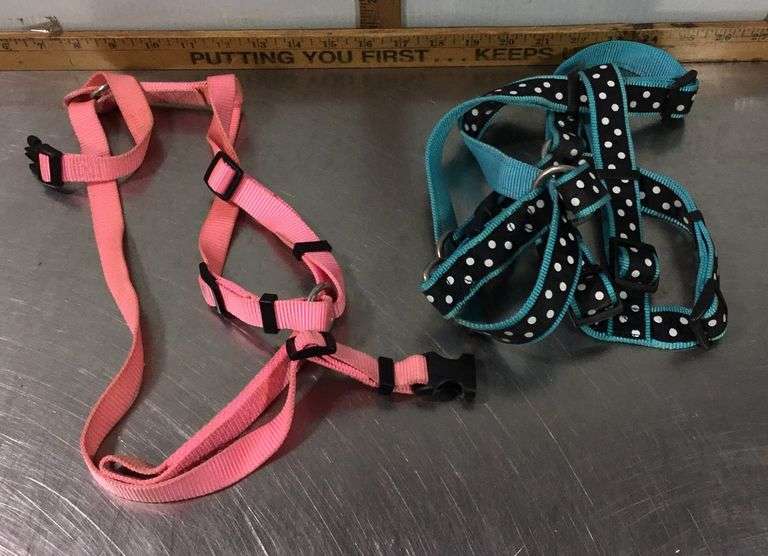 Pyrex Dog Tote With Large PYREX Mixing Bowl, Oxivir TB Wipes and Dog Harnesses ...