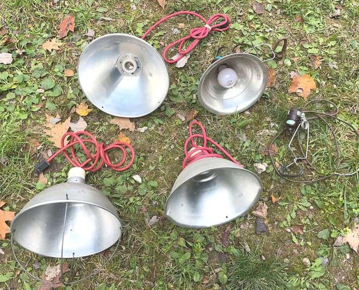 Three Electric Brooder Lamps & Clamp-On Light