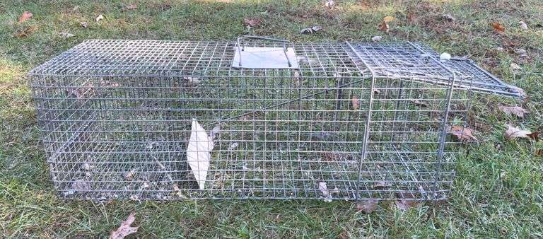 Large Live Animal Trap