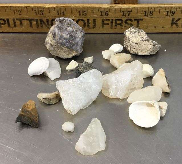 Rough Quartz, Iolite, Shells and Other Rough Stones - Sherwood Auctions