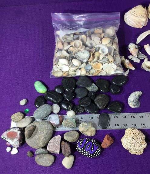 Comercial Shell Rocks Large Collection of Sea Shells & Rocks - Sherwood Auctions