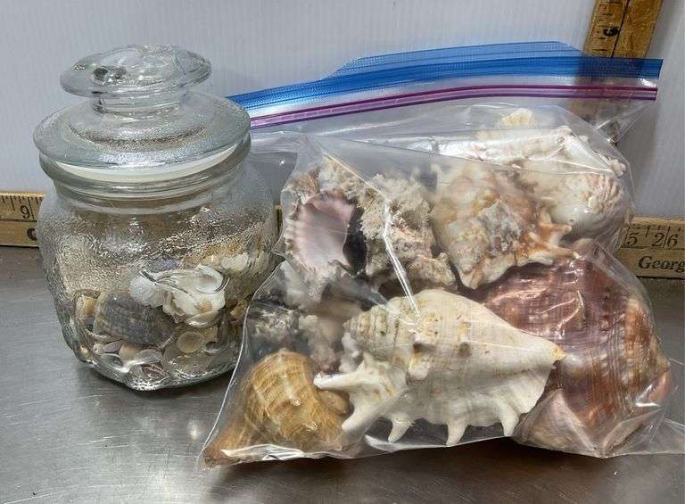 Sea Shells, Dominoes, Over The Door Hangers, Paper Towel Holder & More in Closed Lid Tote