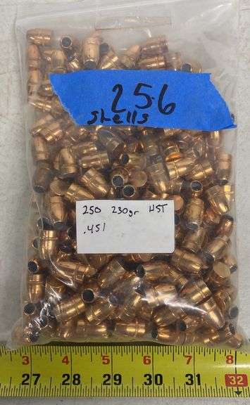 256 ct. 230 GR HST .451 Bullets