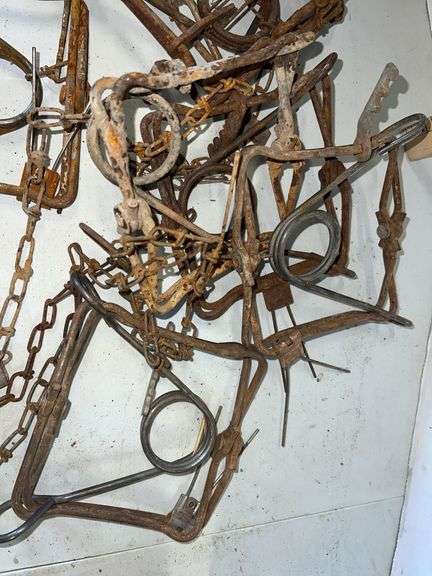 Ten #110 Conibear Traps