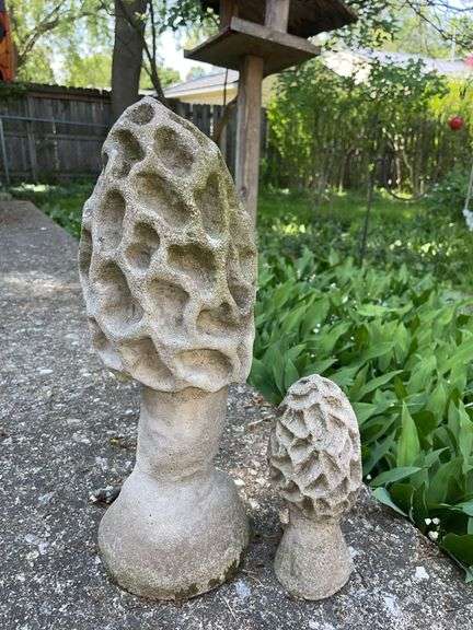 Cement 19” & 10” tall Morel Mushrooms