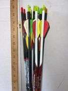 Bloodsport Hunter Extreme Six Unused Arrows & 15 Various Arrows