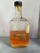Collection of Pharmaceutical & Other Bottles