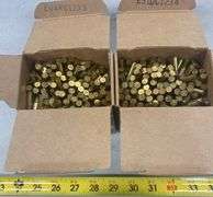 2 Boxes (1100 ct) Remington 22LR Golden Bullet Rimfire Hollow Point Ammo