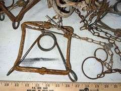 Ten #110 Conibear Traps