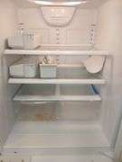Whirlpool Refrigerator w/ Bottom Freezer- has power- 67" tall, 31" deep & 30" wide