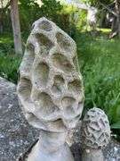 Cement 19” & 10” tall Morel Mushrooms