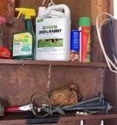 Shovels, Pole Saw, Post Hole Digger, Poultry Fencing & Garden Items Cleanout