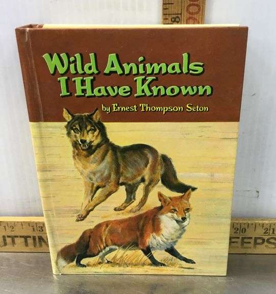 Tom Sawyer, Little Women, Wild Animals I Have Known and Roy Rogers Books