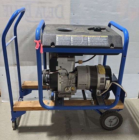 Briggs & Stratton Generator  GenPower 10.0, 250Volt-20amp & 120volt-20amp