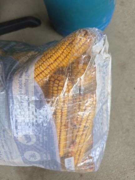 Bag of Corn