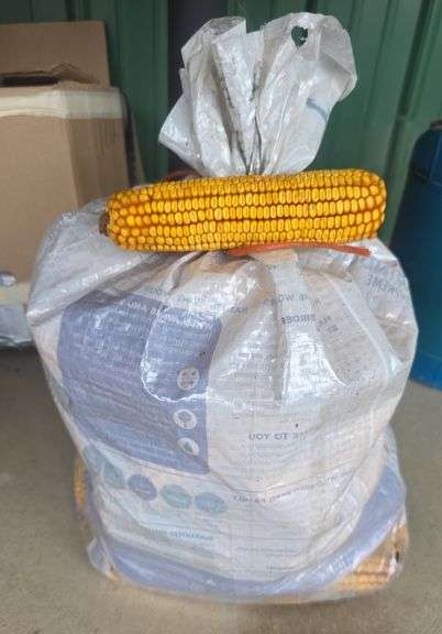 Bag of Corn