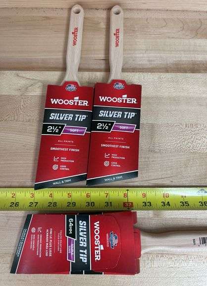 Wooster Silver Tip 2 1/2” Angled Soft Paint  Brushes(New)
