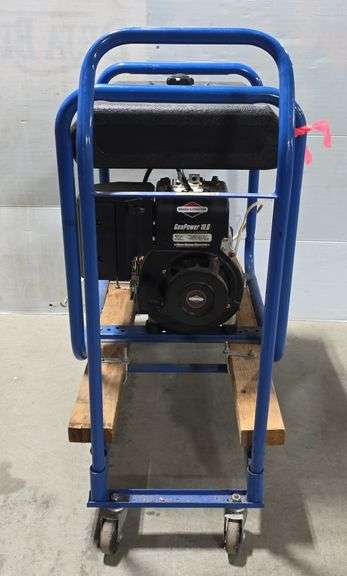 Briggs & Stratton Generator  GenPower 10.0, 250Volt-20amp & 120volt-20amp