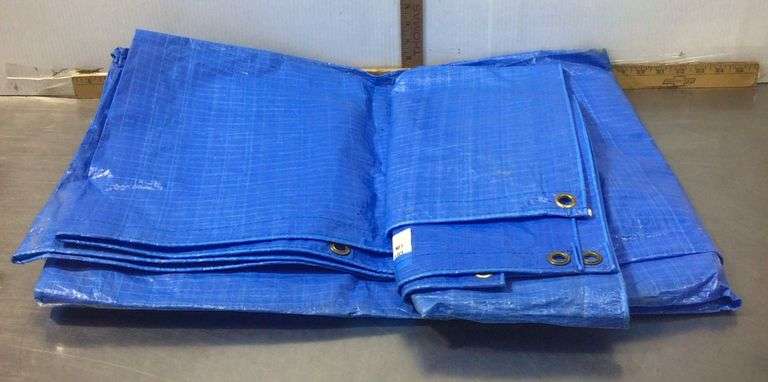 Blue Tarp