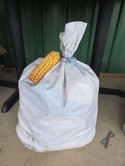 Bag of Corn