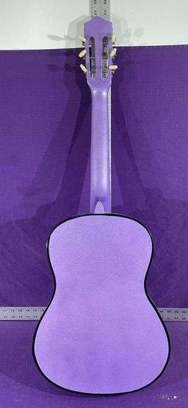 Acoustic 6 String Guitar