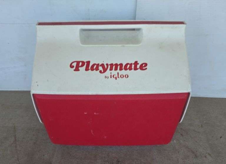 Igloo Cooler