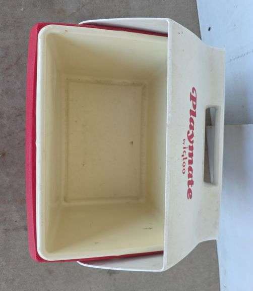 Igloo Cooler
